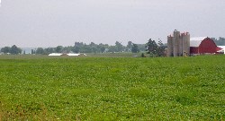 Looking South to the Lake